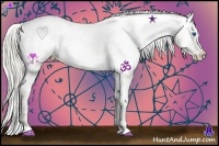 Horse Color:Chocolate Palomino Pearl Sabino Splash Varnish Rabicano Brindle