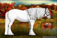 Horse Color:Chocolate Palomino Pearl Sabino Varnish Rabicano  Brindle