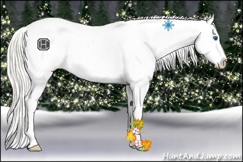 Horse Color:Chocolate Palomino Pearl Sabino Splash Appaloosa Rabicano  Brindle