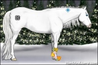 Horse Color:Chocolate Palomino Pearl Sabino Splash Appaloosa Rabicano Brindle