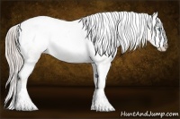 Horse Color:Chocolate Palomino Pearl Sabino Appaloosa Rabicano  Brindle
