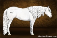 Horse Color:Chocolate Palomino Pearl Sabino Varnish Rabicano  Brindle