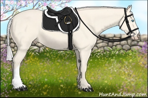 Horse Color:Silver Perlino 