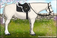 Horse Color:Silver Perlino 