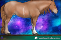 Horse Color:Bay Pearl Sabino Rabicano Brindle