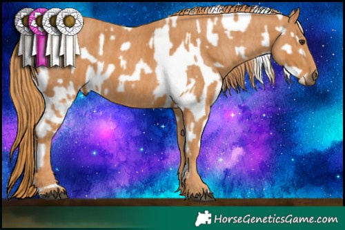 Horse Color:Liver Chestnut Sabino Appaloosa Rabicano  Brindle