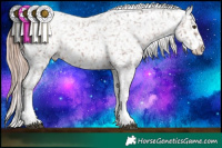 Horse Color:Liver Chestnut Sabino Snowflake VarnishRabicano Brindle