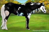 Horse Color:ERROR: UNKNOWN ANOMALY Brindle