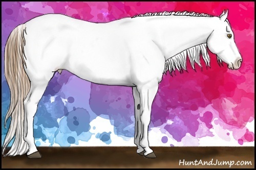 Horse Color:Liver Red Roan Pearl Sabino Snowcap Rabicano Brindle