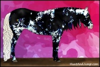 Horse Color:Liver Chestnut Pearl Sabino Appaloosa Rabicano  Brindle