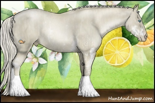 Horse Color:Chocolate Palomino Pearl Sabino Rabicano Brindle