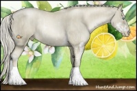 Horse Color:Chocolate Palomino Pearl Sabino Rabicano Brindle