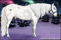 Horse Color:Chocolate Palomino Pearl Sabino Appaloosa Rabicano  Brindle