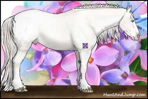 Horse Color:Chocolate Palomino Pearl Sabino Appaloosa Rabicano  Brindle