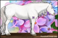 Horse Color:Chocolate Palomino Pearl Sabino Snowcap Rabicano Brindle