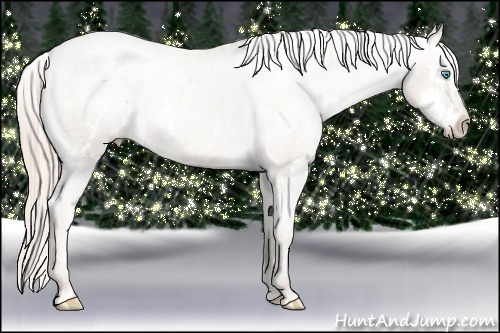 Horse Color:Chocolate Palomino Pearl Sabino Appaloosa Rabicano  Brindle