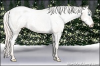 Horse Color:Chocolate Palomino Pearl Sabino Varnish Rabicano  Brindle