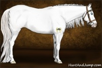 Horse Color:Chocolate Palomino Pearl Sabino Snowcap Rabicano Brindle