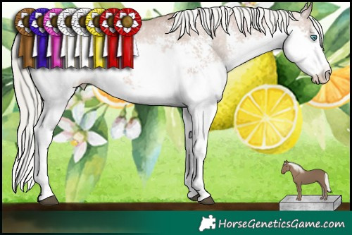 Horse Color:Liver Chestnut Pearl Mushroom Sabino Splash Snowcap Rabicano Brindle