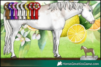 Horse Color:Liver Chestnut Pearl Mushroom Sabino Splash Snowcap Rabicano  Brindle
