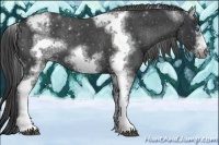 Horse Color:White Spotted Black Splash Tobiano Frame Blanket
