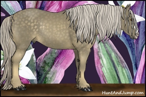 Horse Color:Chocolate Palomino Rabicano
