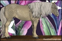 Horse Color:Chocolate Palomino Rabicano