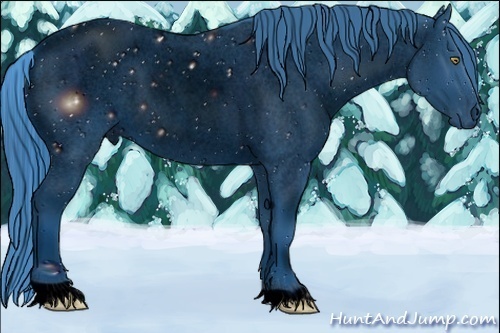 Horse Color:ERROR: UNKNOWN ANOMALY