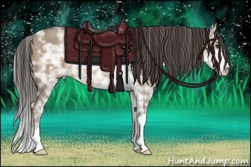 Horse Color:Liver Red Dun Ice Sabino 
