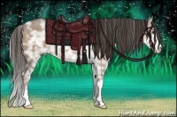Horse Color:Liver Red Dun Ice Sabino