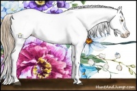 Horse Color:Liver Chestnut Pearl Sabino Splash Snowflake VarnishRabicano  Brindle