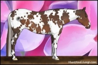 Horse Color:White Spotted Liver Chestnut 