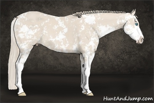 Horse Color:Smoky Creme Sabino