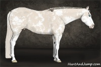 Horse Color:Smoky Creme Sabino