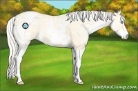 Horse Color:White Spotted Silver Buckskin Ice Pearl Sabino