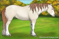 Horse Color:Smoky Grullo Pearl Splash