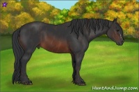 Horse Color:Brown Rabicano Brindle
