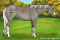 Horse Color:Silver Smoky Black 