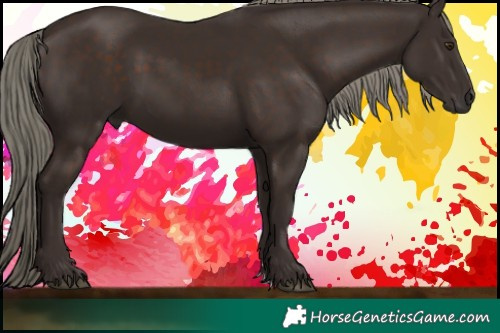 Horse Color:Liver Chestnut Mushroom 