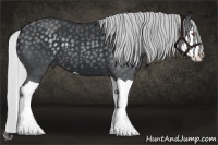 Horse Color:Silver Black Chinchilla Splash 