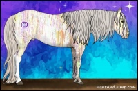 Horse Color:Silver Bay Ice 