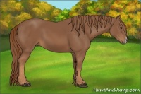 Horse Color:Chestnut Frame