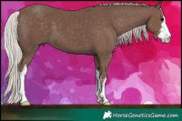 Horse Color:White Spotted Silver Black 