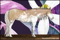 Horse Color:Silver Black Pearl Sabino