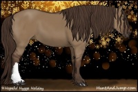 Horse Color:Liver Red Dun 