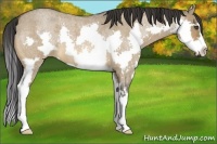 Horse Color:Bay Roan Dun Splash Frame