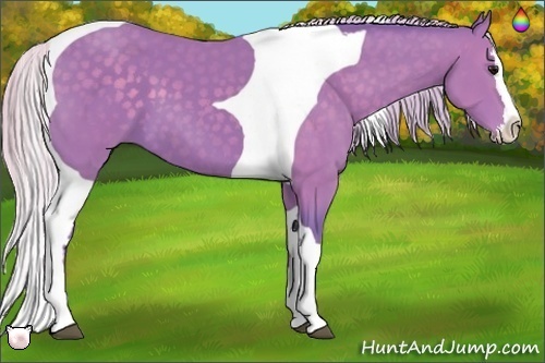 Horse Color:Watercolor Silver Black Splash Tobiano