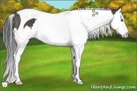 Horse Color:Black Splash Tobiano 