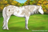 Horse Color:White Spotted Silver Grullo Ice Splash