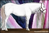 Horse Color:Liver Chestnut Splash Appaloosa 